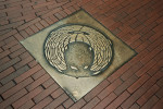 Putdeksel 3 Kerkstraat Den Bosch Agnes Bomers