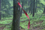 herdenkingslint Kesselberg Duitsland