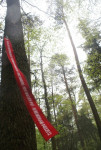 herdenkingslint Kesselberg Duitsland
