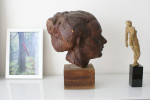 studieportret Agnes van Luc Bemelmans 1958-2012/in memoriam