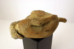 'slapend', brons, Agnes Bomers