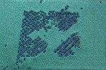 design 49, borduursel, 10 x 15 cm, 2014