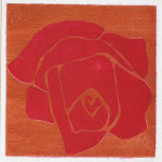 gomroos 1A, 25 x 25 cm, 1999